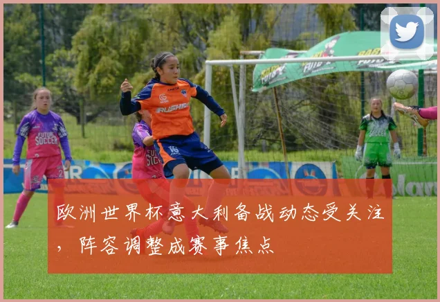 欧洲世界杯意大利备战动态受关注,阵容调整成赛事焦点