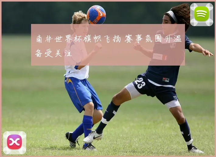 南非世界杯旗帜飞扬 赛事氛围升温备受关注
